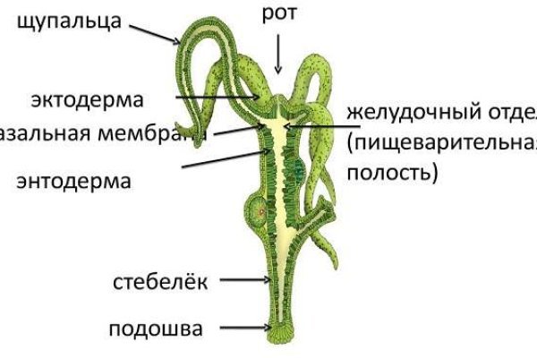 Кракен невозможно зарегистрировать пользователя