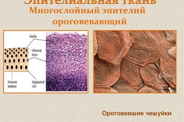 Как зайти на кракен с телефона